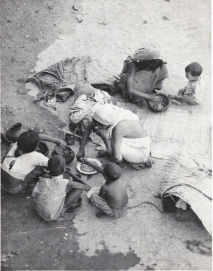 1979, Bangladesh, Medical Relief
