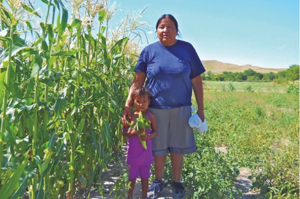 Robert Reifel, 2012, Pine Ridge, Community Gardens, Food Security, Native Rights