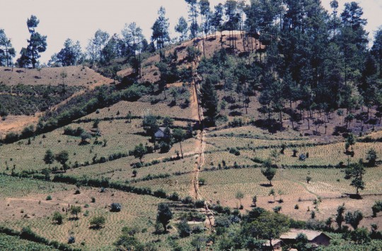 Clifford Figallo, Dennis Martin, 1980, Guatemala, Clean Water, Rural Health